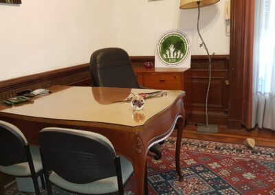 Gallery image 7