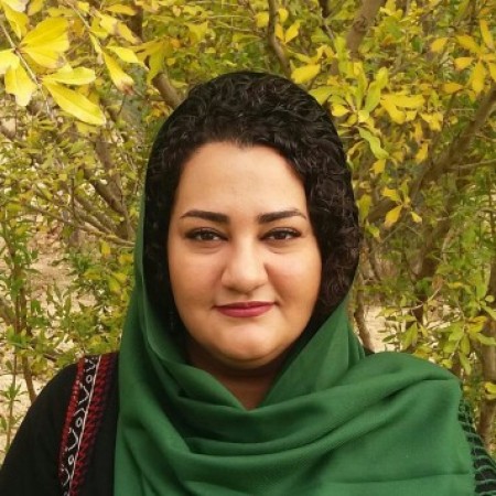 Iran: Free woman human rights defender Atena Daemi
