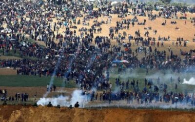 The organization: What is happening in Gaza is a flagrant violation of international law and acts of intentional killing constitute war crimes